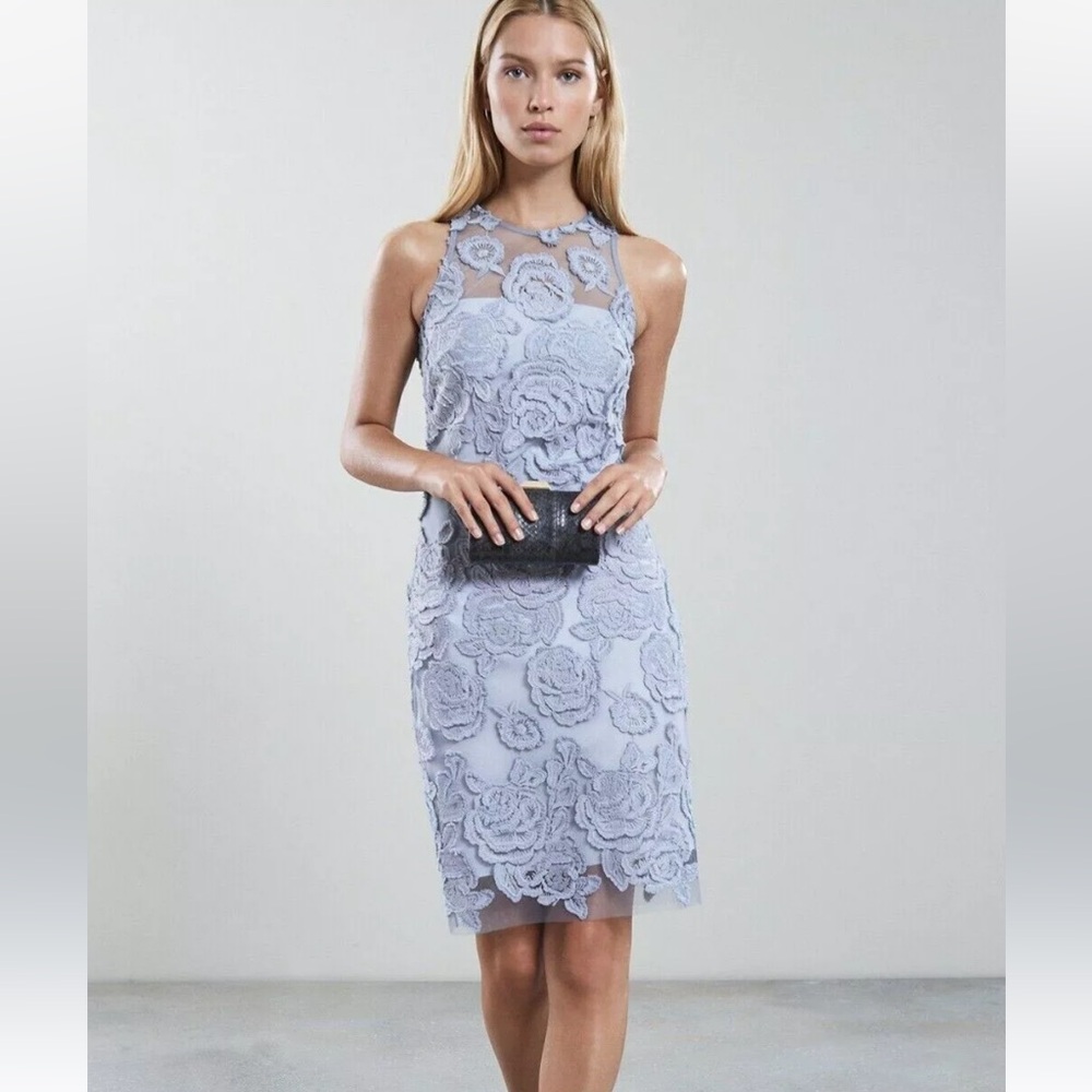 REISS Meghan Floral Lace Bodycon Semi-sheer Dress in Silver Lake Blue Size 6